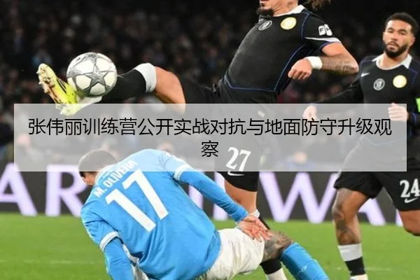 张伟丽训练营公开实战对抗与地面防守升级观察